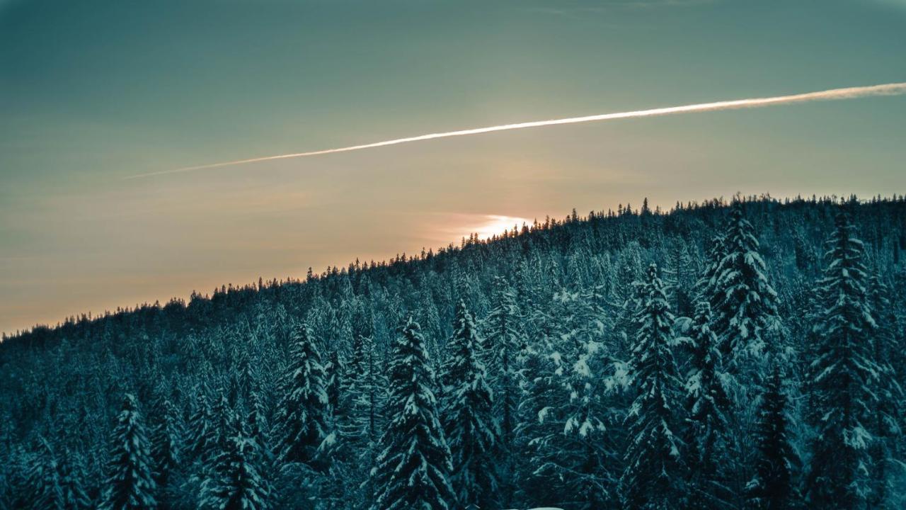 Appartement Ideal Pour Ete Et Hiver, Situe Au Pied Des Pistes De Ski Et Des Sentiers De Randonnee Prémanon Exteriér fotografie