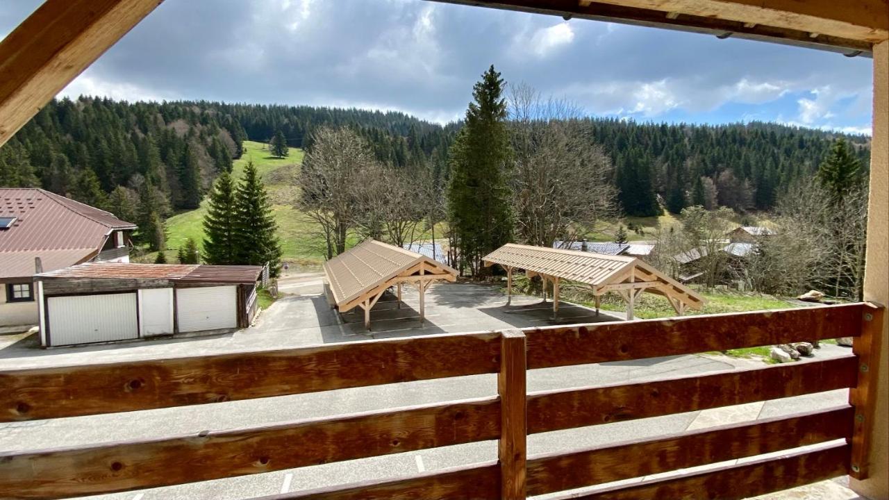 Appartement Ideal Pour Ete Et Hiver, Situe Au Pied Des Pistes De Ski Et Des Sentiers De Randonnee Prémanon Exteriér fotografie
